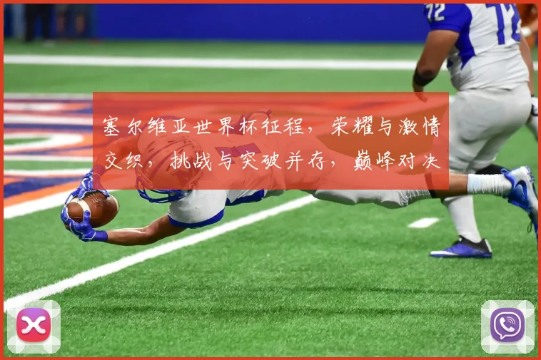 塞尔维亚世界杯征程，荣耀与激情交织，挑战与突破并存，巅峰对决，谁将问鼎