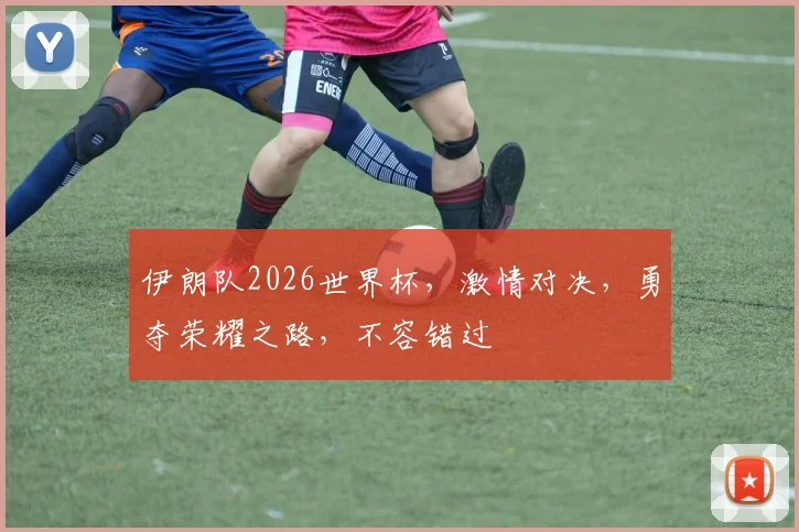伊朗队2026世界杯，激情对决，勇夺荣耀之路，不容错过