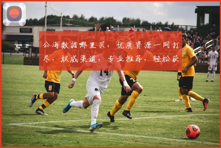 公海数据哪里买，优质资源一网打尽，权威渠道，专业推荐，轻松获取，三步到位