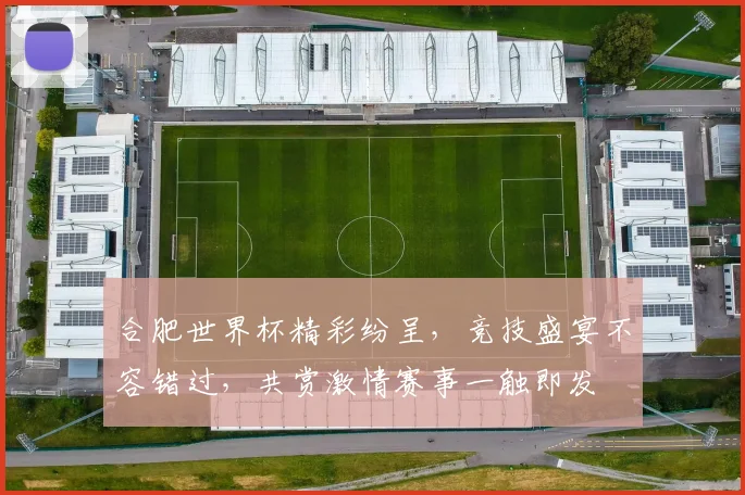 合肥世界杯精彩纷呈，竞技盛宴不容错过，共赏激情赛事一触即发