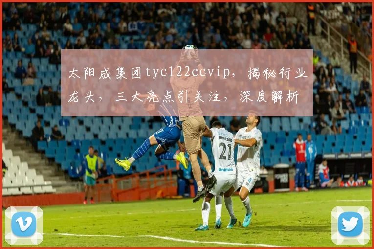 太阳成集团tyc122ccvip，揭秘行业龙头，三大亮点引关注，深度解析