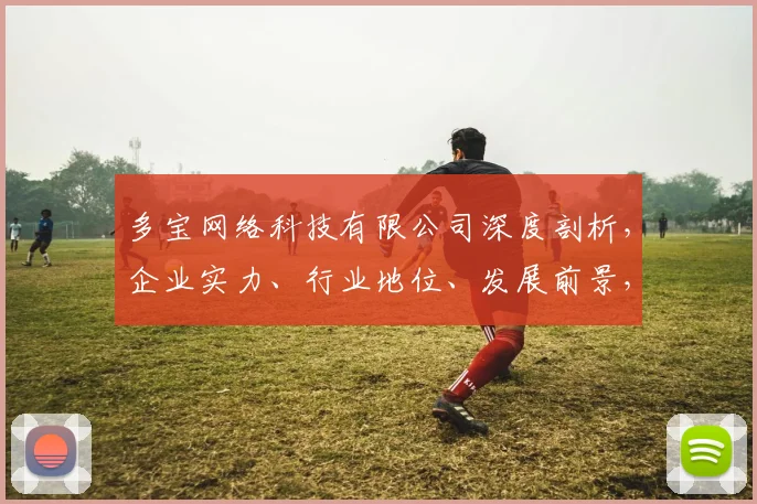 多宝网络科技有限公司深度剖析，企业实力、行业地位、发展前景，全方位解读